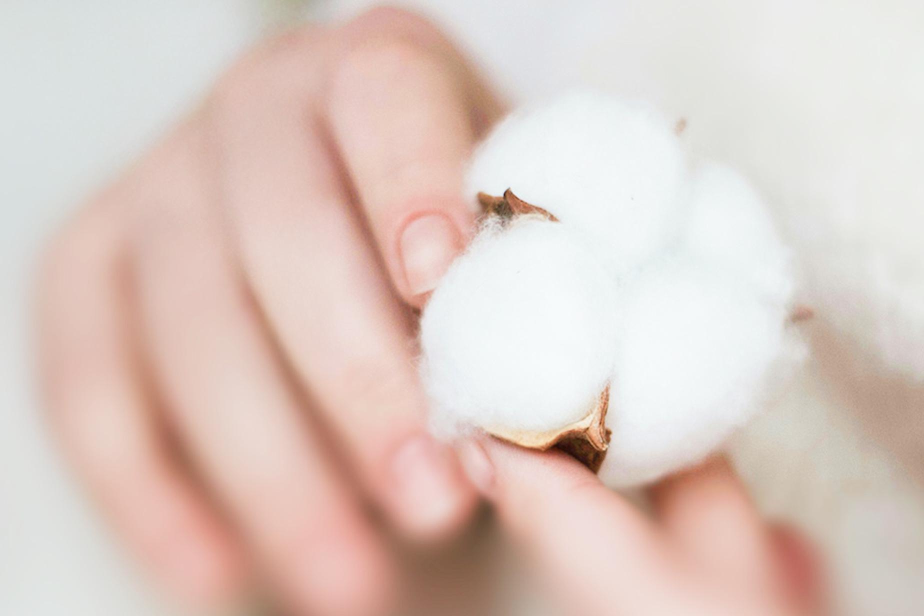 cotto design.のメインビジュアル